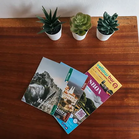 Daniela's 301 Lisbon